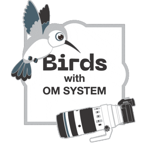 Camera Birds Sticker by OM SYSTEM