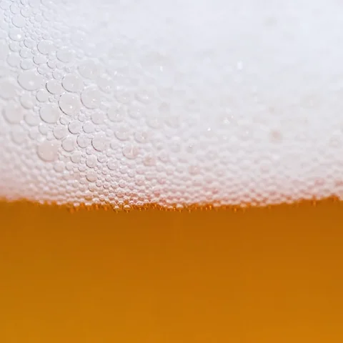 Drinking Beer GIF