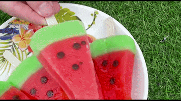 ExperimenMeatGrinder funny ice cream watermelon underground GIF