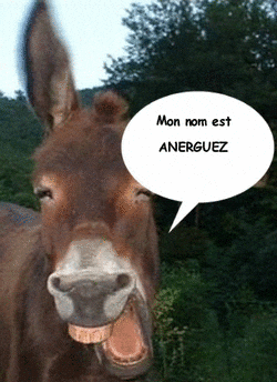 Ane Yome Quartet GIFs - Find & Share on GIPHY