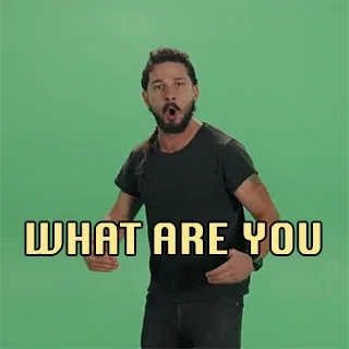 https://media0.giphy.com/media/CpgNjk2E54p7W/giphy.webp?cid=5a38a5a2530c5ab872066c1390d96214b505fd054a8fcde5&rid=giphy.webp