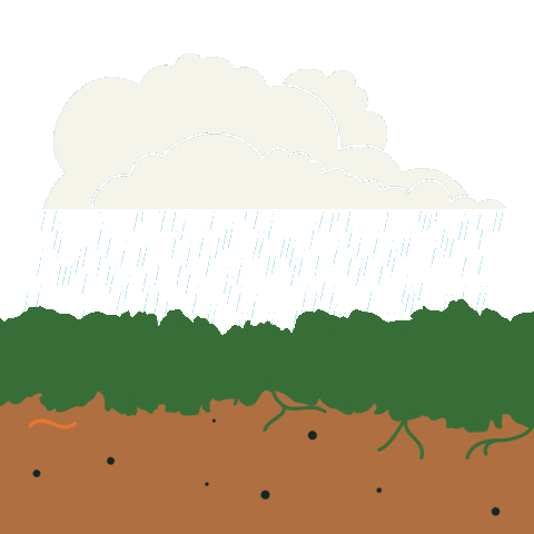 Handsome Brook Farms Sticker