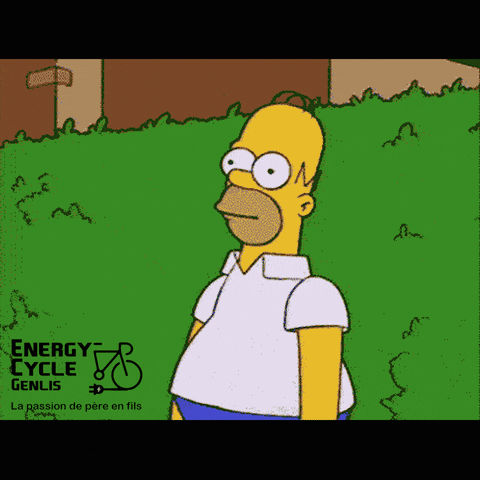 Homer Simpson Reaction GIF by Babloland