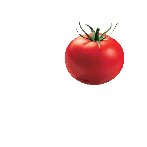 Sauce Tomato Sticker by Fugini Alimentos