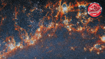 James Webb Stars GIF by ESA Webb Space Telescope