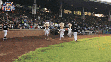 EvansvilleOtters happy fun baseball race GIF