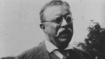 Teddy Roosevelt Vintage GIF by US National Archives