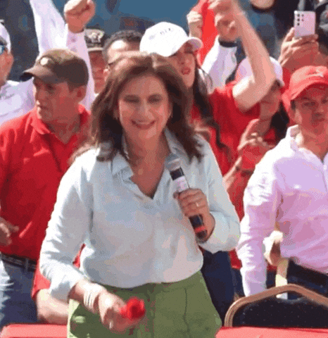 Rosa Flor GIF by RixiPresidenta