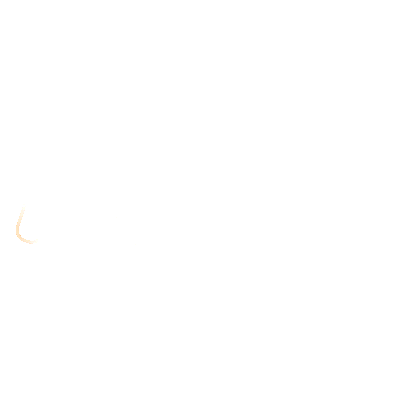 Suspension Tacoma Sticker by ChaosFab