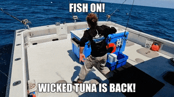 Excited Wicked Tuna GIF by National Geographic Channel