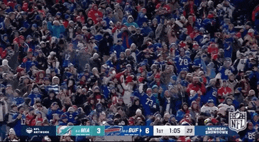 Buffalo Bills Football GIF by NFL