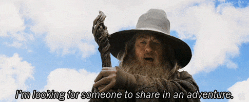 the lord of the rings adventure GIF