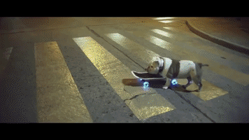 itziarlazkano  GIF