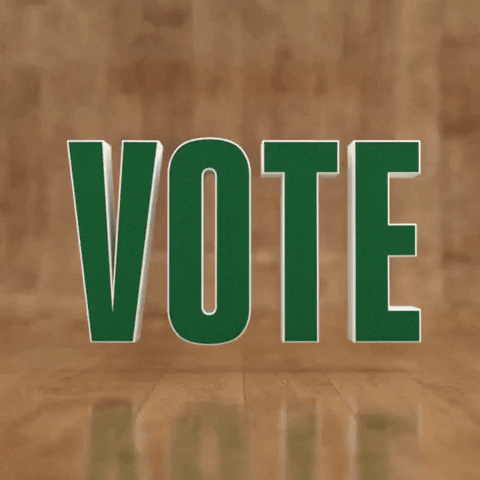 Go Vote GIF by Boston Celtics