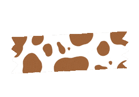 Sticker Tape Sticker