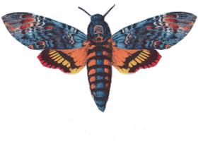 Bear Flamingo Sticker by Binske