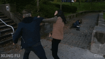 Tv Series Fighting GIF by CW Kung Fu