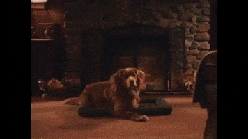 Music Video Dreaming GIF by Mother Mother