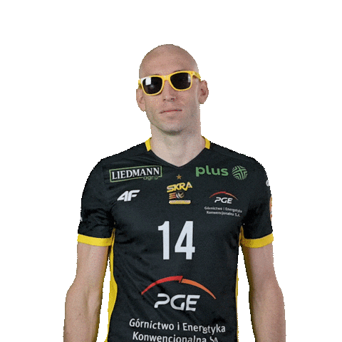 Sunglasses Volleyball Sticker by PGE GiEK Skra Bełchatów