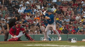 Major League Baseball Sport GIF by MLB