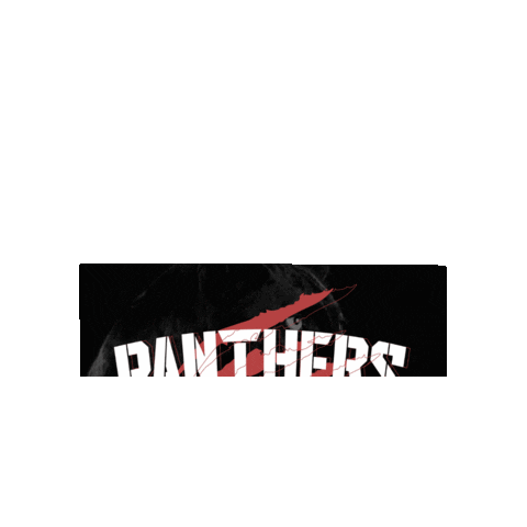 Panthers Esports Club Sticker