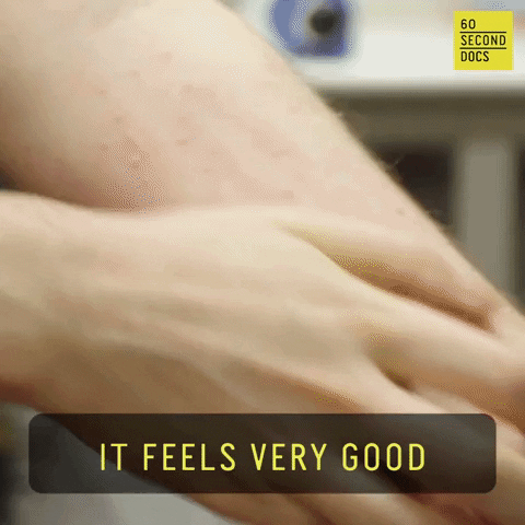 Scratching Feel Good GIF by 60 Second Docs