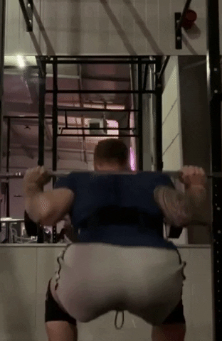 giphy.gif