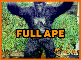 Crypto Ape GIF by Stick Up Music