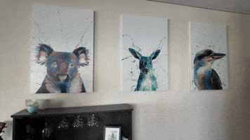 Congrats GIF