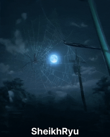Spider Moon Light GIF