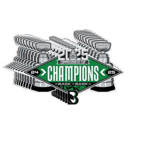 Black Bears Sticker by Binghamton Black Bears