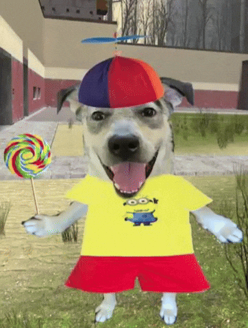 Happy Dog GIF