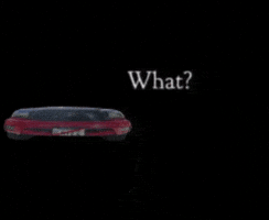 Joe Biden What GIF
