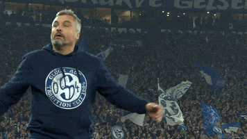 Come On Football GIF by FC Schalke 04