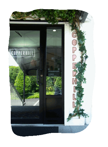 CopperhillNY Sticker