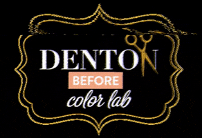 Denton color lab GIF