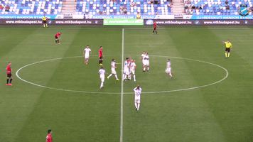 mtk_budapest mtk budapest torghelle sandor honap golja GIF