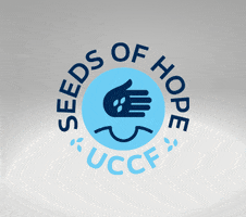 Seeds Of Hope GIF by The United Church of Canada Foundation