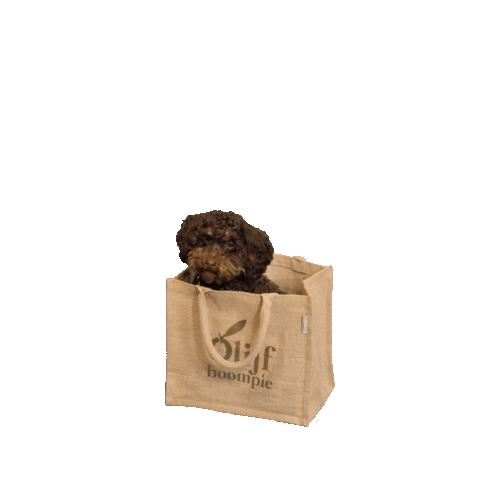 Olijfboompie Sticker