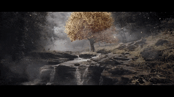victori  GIF