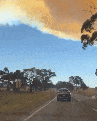 Firefighters Battle Large Bushfire Threatening Properties in Victoria
