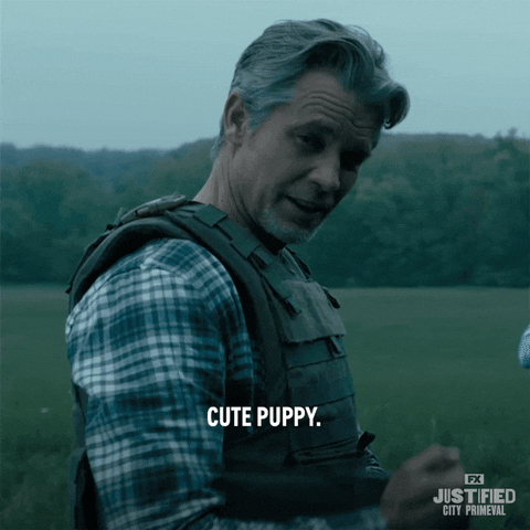 JustifiedFX puppy hulu justified fx networks GIF
