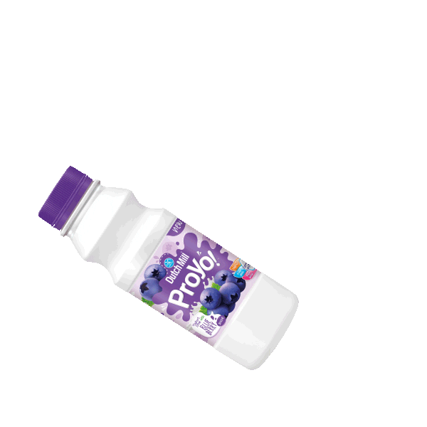 Dutch Mill GIFs on GIPHY Be Animated