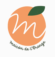 Start Up Logo GIF by Maison de l'orange