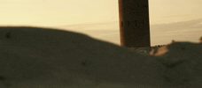 Summer Beach GIF