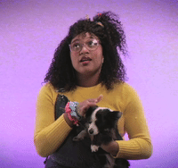 Wheres-the-beef GIFs - Get the best GIF on GIPHY