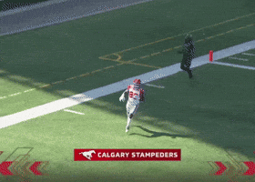 Calgary Cfl GIF