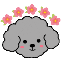 Poodle 花 Sticker