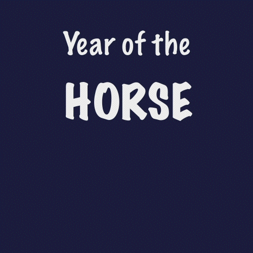 Horse Unicorn GIF by HUisHU