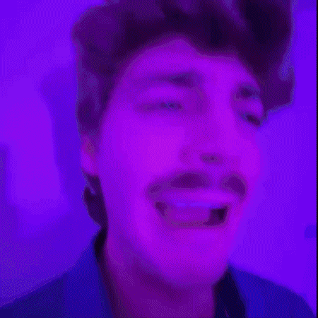 Cat Wtf GIF by Airlearn